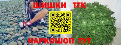 амф Камышлов