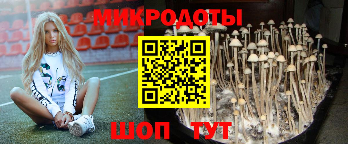 Кулебаки  Галлюциногенные грибы Cubensis  Вход с VPN 